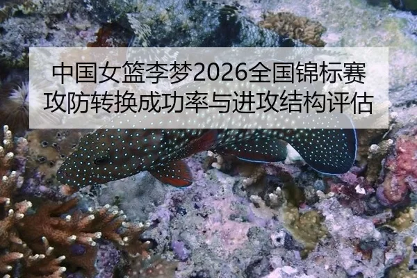中国女篮李梦2026全国锦标赛攻防转换成功率与进攻结构评估